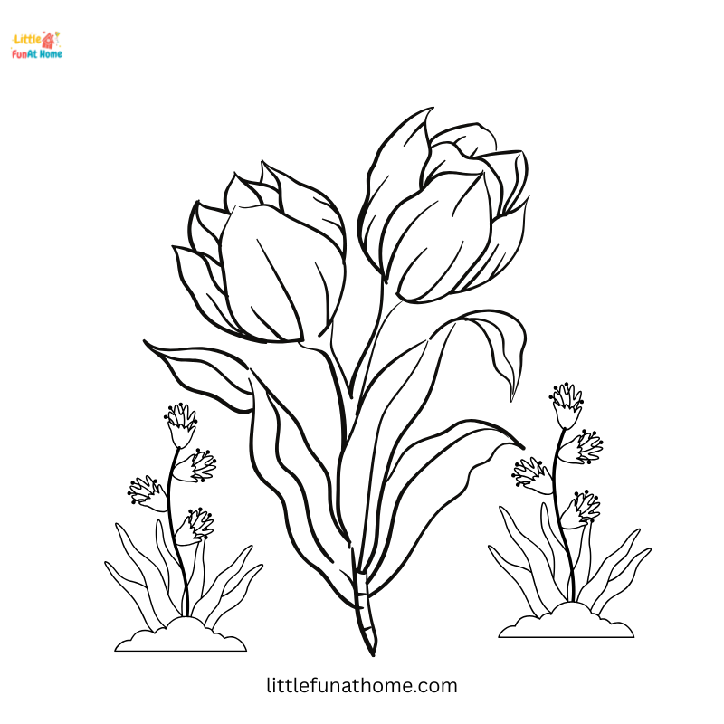 Bouquet of tulips coloring page