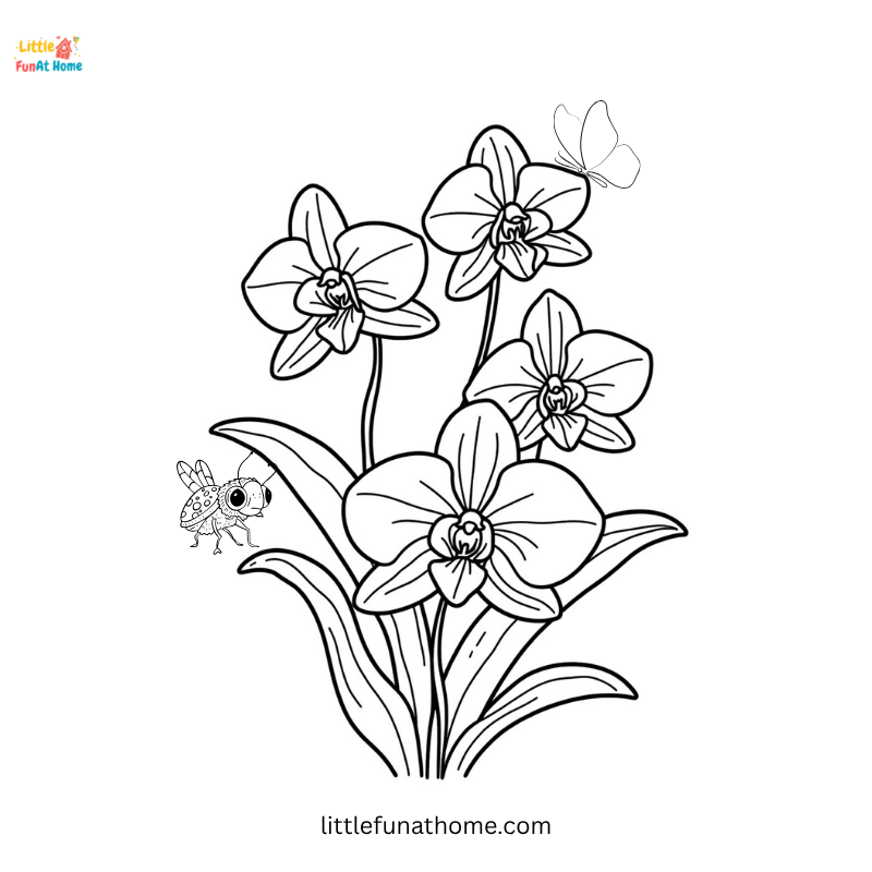 Orchid Flower Coloring Page with a small butterfly, and a tiny bee