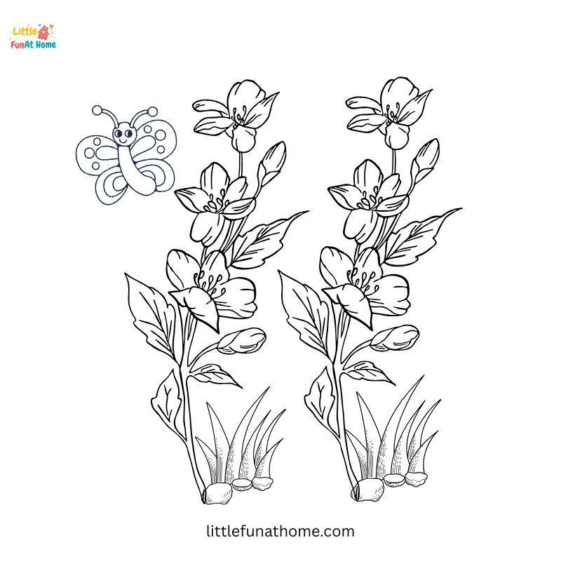 Small butterfly and two branches of blooming flowers with foliage coloring page