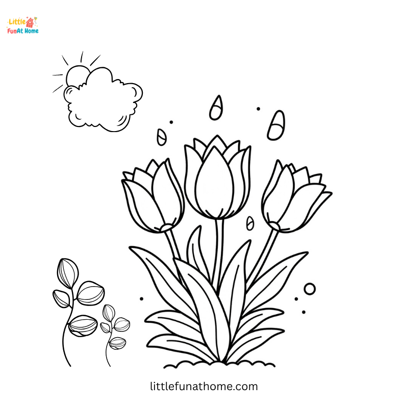 Tulip Coloring Page