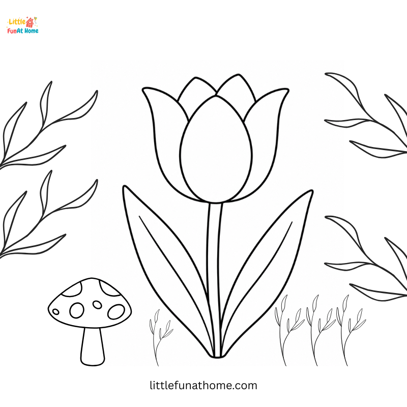 Tulip Flower Coloring Page