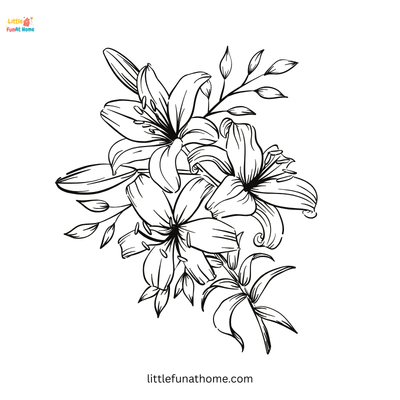 lily flower coloring page