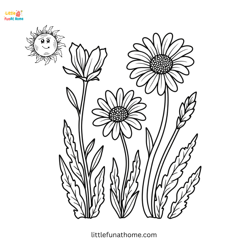 sunflower coloring page