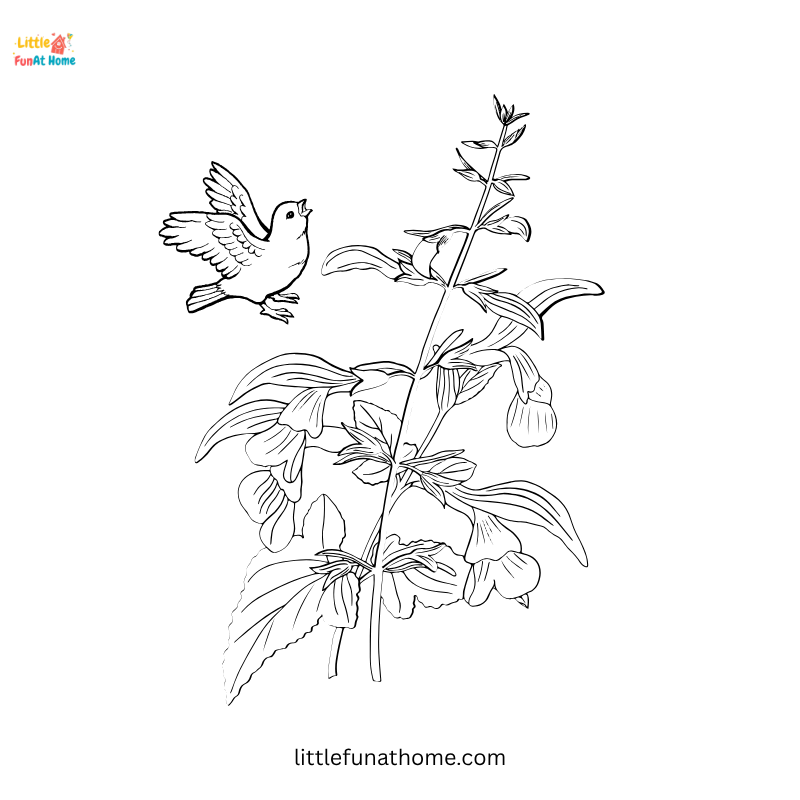 Vintage Floral Botanical Illustrations Free Coloring Pages​